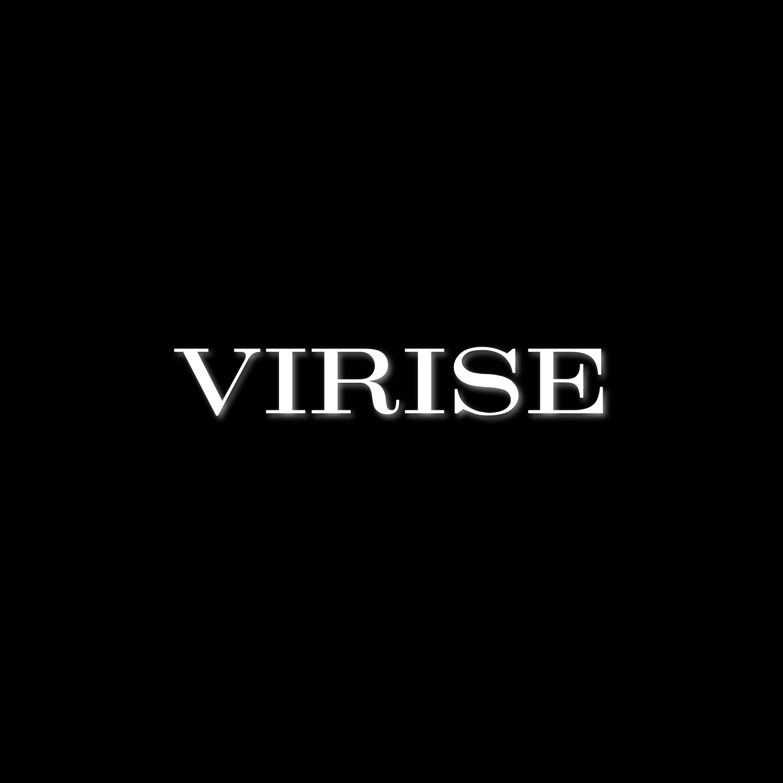 合同会社VIRISE